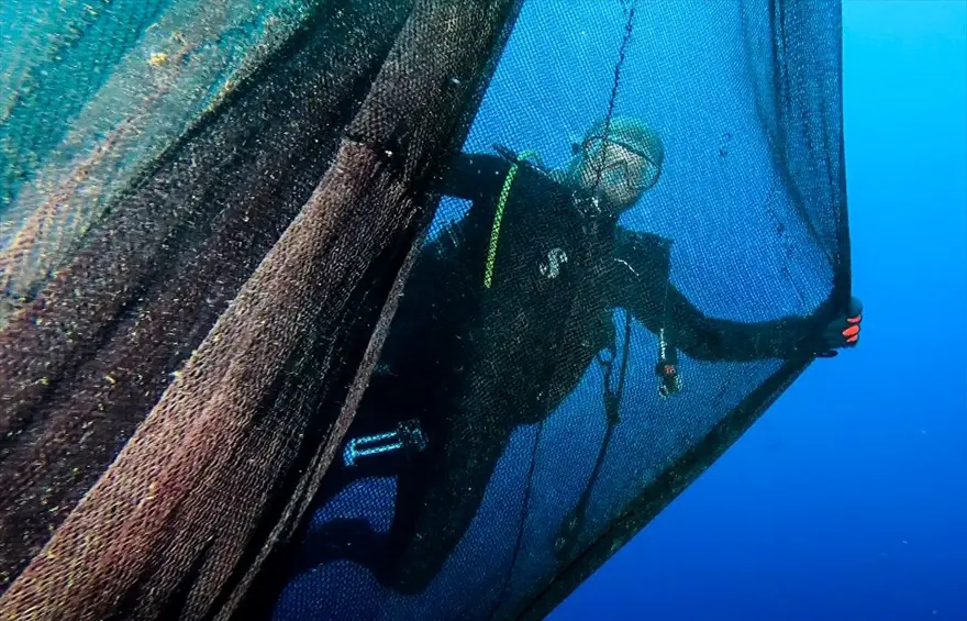 'Hayalet ağ' dalış turizmi için batırılan vapuru kapladı 4