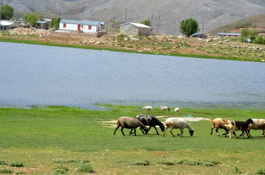 Dipsizgöl ve Eğrigöl yapılaşma tehdidi altında 5
