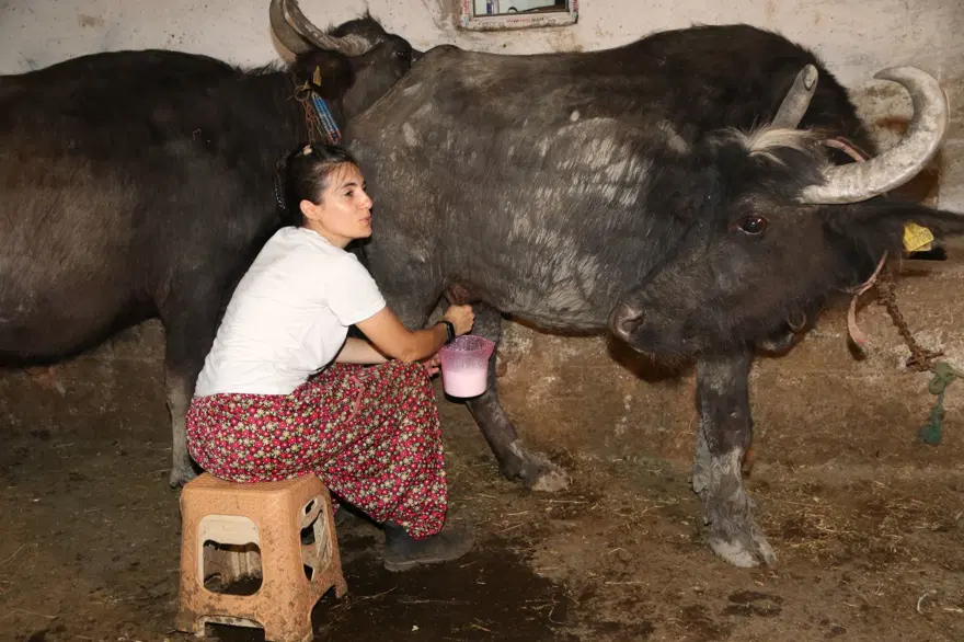 İşinden istifa etti, 3 yıl önce köyüne döndü: Şimdi taleplere yetişemiyor 2