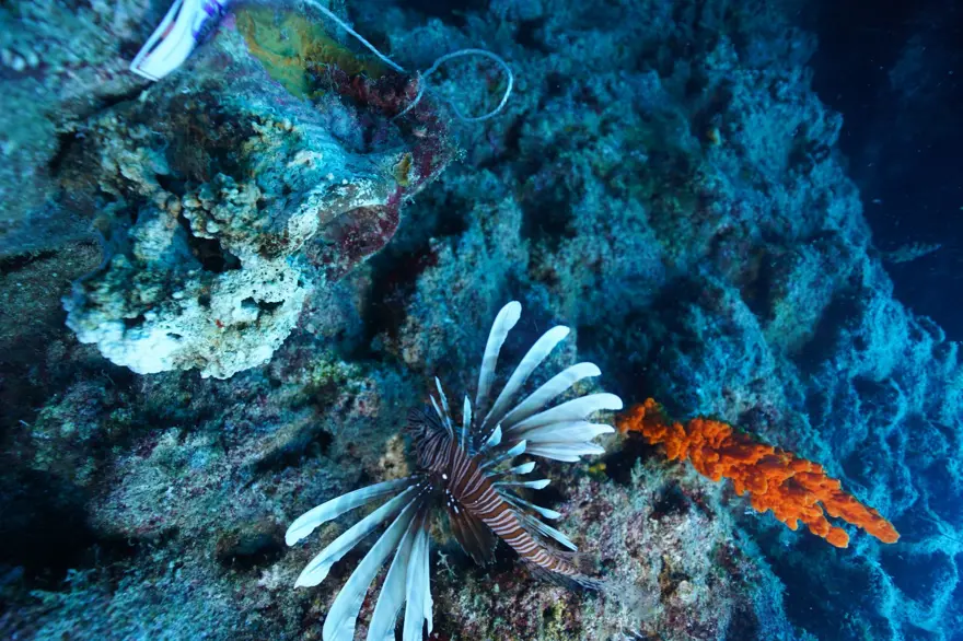 HER BATIĞIN ÜÇ BOYUTLU MODELLEMESİ YAPILIYOR 4 HER BATIĞIN ÜÇ BOYUTLU MODELLEMESİ YAPILIYOR 4