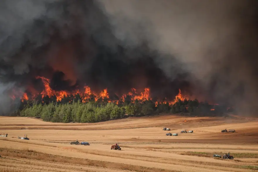 Sakarya'daki orman yangını Bilecik'e sıçradı 8 Sakarya'daki orman yangını Bilecik'e sıçradı 8