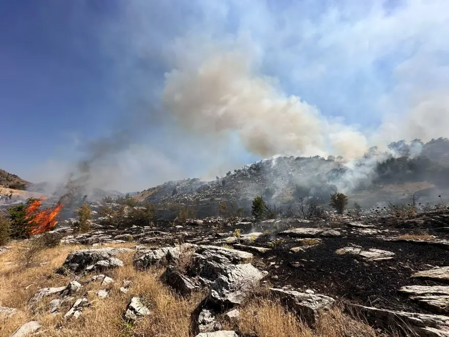Muğla, Bingöl ve Adana'da orman yangını 