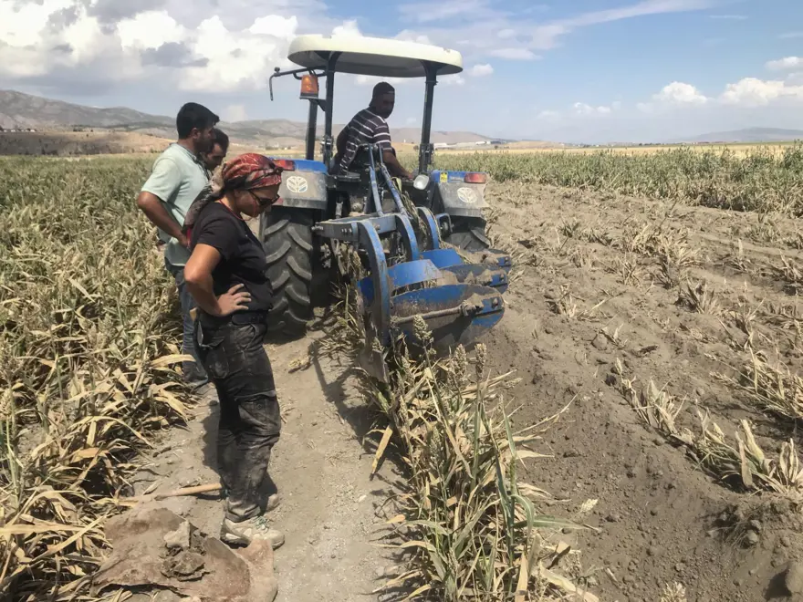 Kahramanmaraş'ta ekim için sürülen tarlada fil fosili bulundu 7
