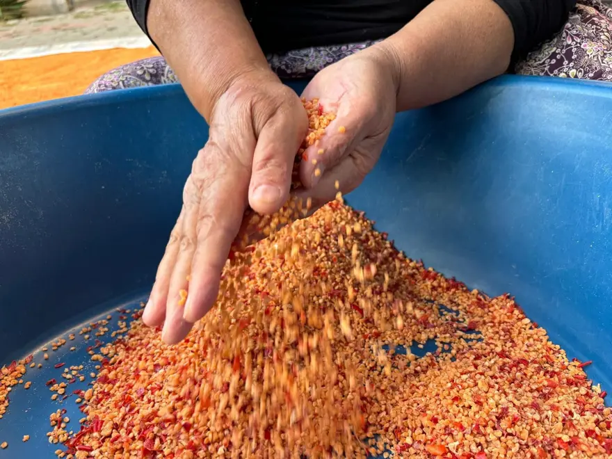 Her şey bahçeden, emekle hazırlanıyor: Hem besleyici hem şifa kaynağı Her şey bahçeden, emekle hazırlanıyor: Hem besleyici hem şifa kaynağı