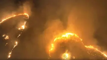 Hawaii’de orman yangını: 6 ölü