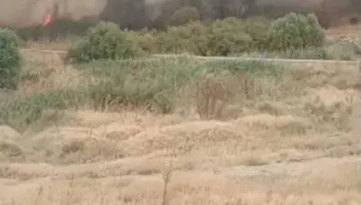 Beypazarı'nda otluk alanda yangın