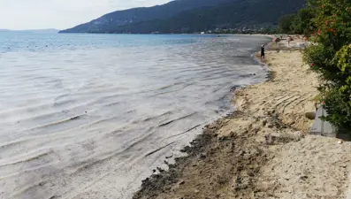 Müsilajla mücadele: 268 işletmenin faaliyeti durduruldu