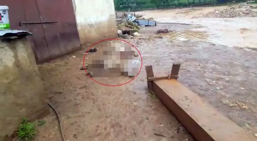 Elazığ'ı sağanak ve dolu vurdu: 200 küçükbaş hayvan telef oldu 1