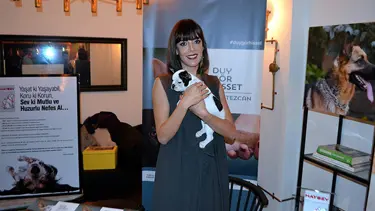 Sokak köpeklerinin hikayesini yazdı