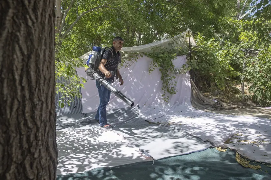 Coğrafi işaretli "Ulukale Dutu" geçim kaynağı oldu! Güneşin karşısında kurutuluyor, elekten geçirilerek hazırlanıyor 8
