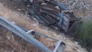 Hayvan taşıyan kamyon şarampole yuvarlandı