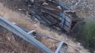 Hayvan taşıyan kamyon şarampole yuvarlandı