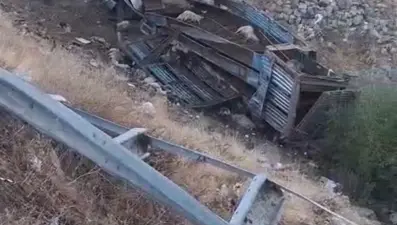 Hayvan taşıyan kamyon şarampole yuvarlandı