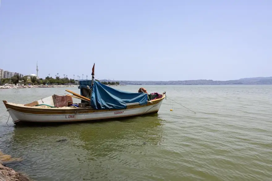 İzmir’de plankton patlaması: İki ilçede denizin rengideğişti 3
