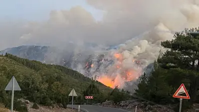 Antalya Gündoğmuş'taki orman yangınında bir mahalle tahliye edildi, 33 kişi yurda yerleştirildi