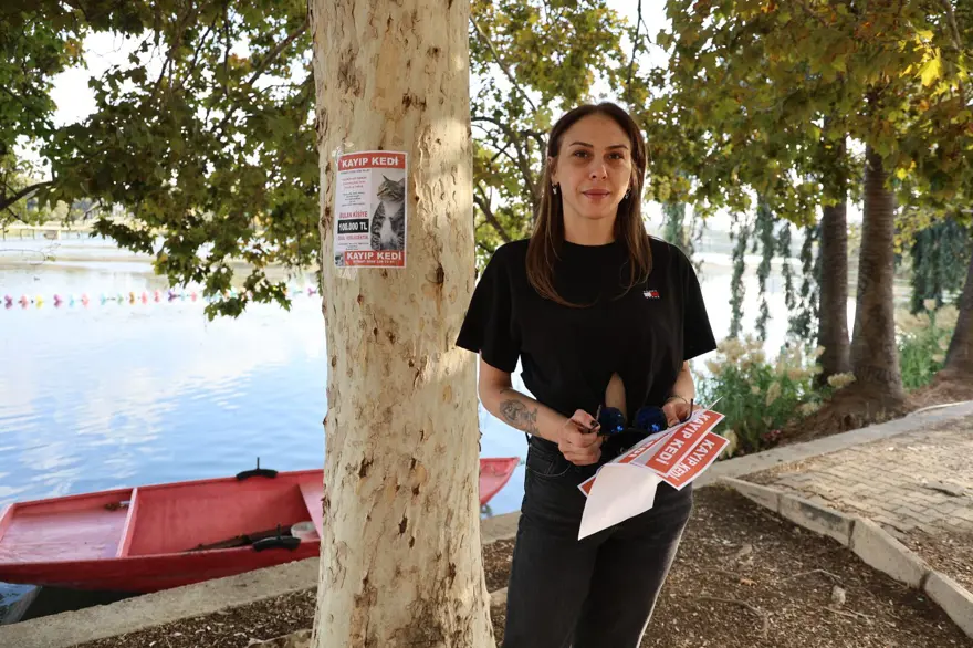 "KEDİMİ BULMAMA YARDIM EDİN" 3