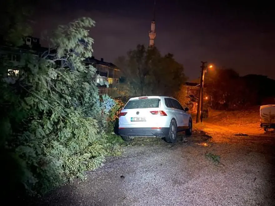 EDİRNE'DE LODOS AĞAÇLARI DEVİRDİ 9