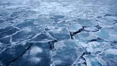 Arktik Bölgesi'nde “imkansız” sanılan bakteriler keşfedildi: Küresel ölçekte etkileri olabilir