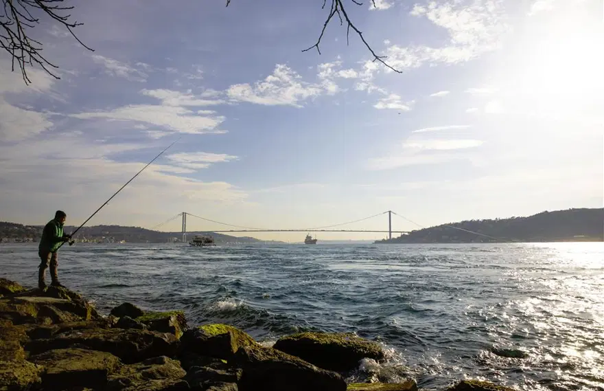 Haftanın fotoğrafları (6 Nisan 2019) 19