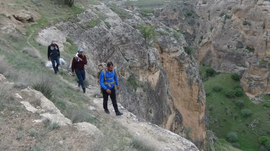 &quot;Yılan otu&quot; olarak da biliniyor, ölüme meydan okuyup topluyorlar: Hastalıkların şifası bitki 2