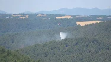Çanakkale Lapseki’de orman yangını