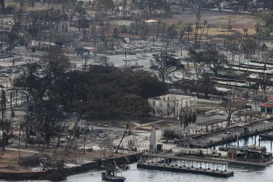Hawaii'de devam eden orman yangınlarında ölenlerin sayısı 80'e çıktı 6