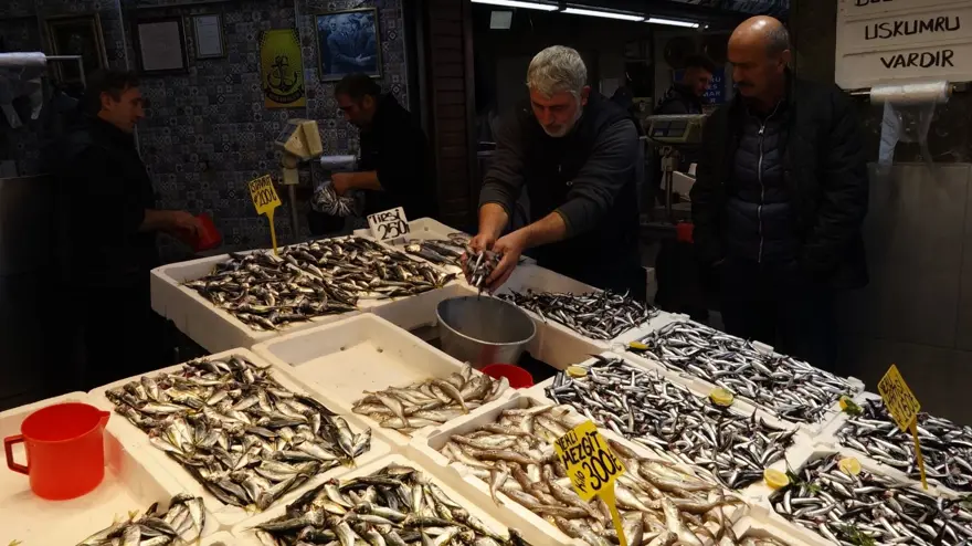 HAMSİ VE İSTAVRİT BOL 3