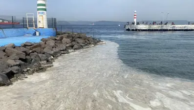 Müsilaj geri döndü, Çanakkale’de tüm iskeleyi sardı