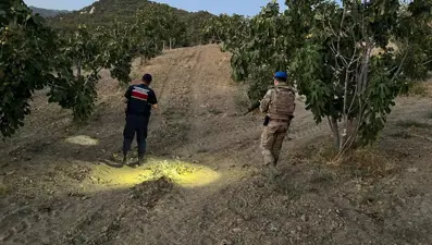 Jandarma geçit vermiyor: Bahçede, tarlada devriye