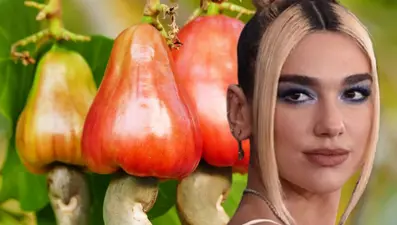 Dua Lipa'nın muhteşem fiziğinin sırrı ortaya çıktı: Spor öncesi tükettiği olmazsa olmaz 2 besin