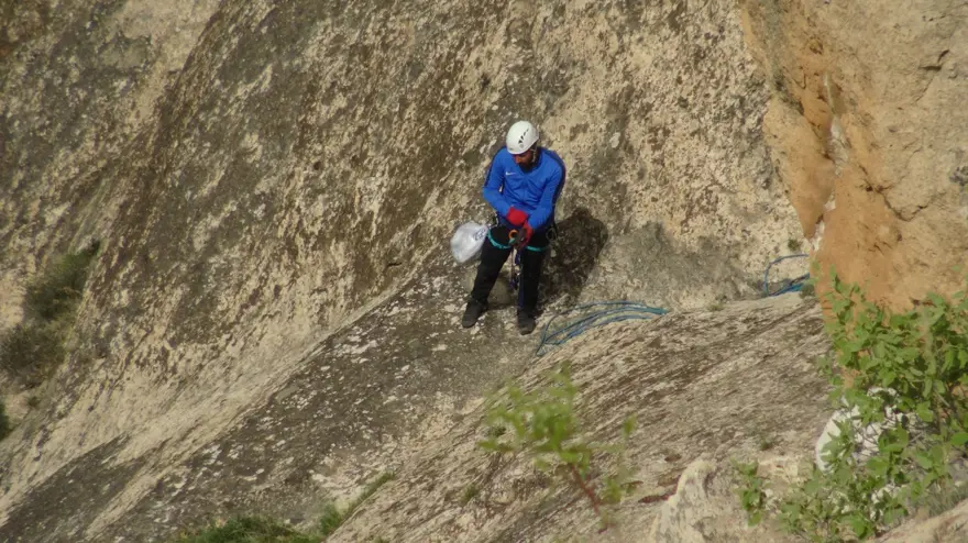&quot;Yılan otu&quot; olarak da biliniyor, ölüme meydan okuyup topluyorlar: Hastalıkların şifası bitki 5