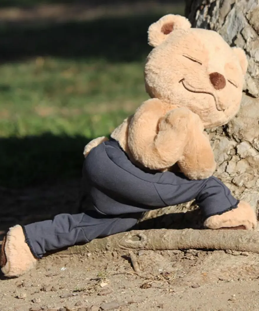 İnternetin yeni fenomeni Yogi Ayı Meddy Teddy 15