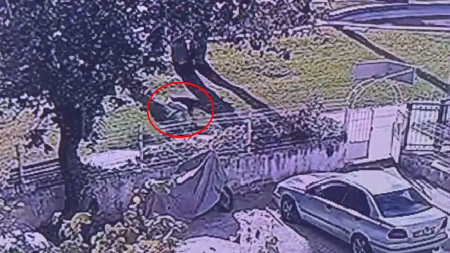 Kepez'de kan donduran cinayet: Elindeki kanı çimlere silmiş! 4