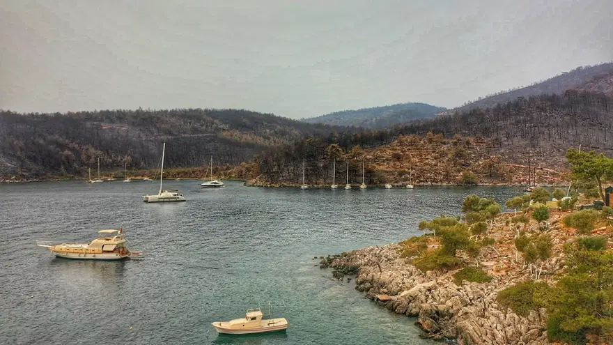 Bodrum ve Milas'ta yanan alanlar havadan görüntülendi 3 Bodrum ve Milas'ta yanan alanlar havadan görüntülendi 3