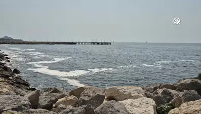 Oksijen seviyesi düştü, deniz köpürdü: “Buradaki durummüsilajdan beter, durum çok ciddi”