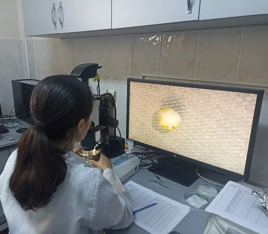 Ege Denizi'nde mikroplastik tehdidi 10