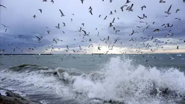 Ege Denizi'nin kuzeyi için fırtına uyarısı