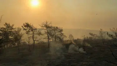 Kanada'daki orman yangını ABD'nin havasını bozdu