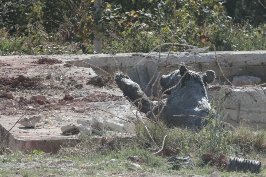 Bolu’da kuyuya düşen ayı 13 saat sonra kurtuldu 5