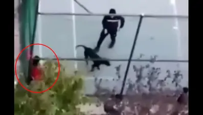 Pitbull cinsi köpeğini arkadaşına saldırttı