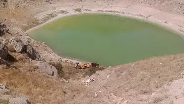 El freni çekilmeyen greyder, otomobili uçuruma sürükledi: 1 ölü, 1 yaralı
