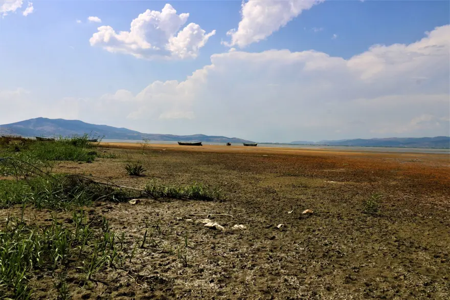 Bir zamanlar kuş cennetiydi, şimdi kuraklık tehlikesiyle karşı karşıya 2