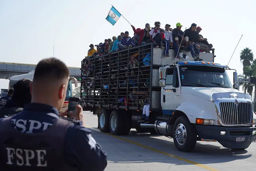 Hayvan kamyonlarında Amerikan rüyası 4 Hayvan kamyonlarında Amerikan rüyası 4