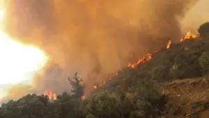 Manavgat yangını için tutuklanan Ali Y.'nin ses kaydı çıktı: Benzin döke döke, yaka yaka gittim