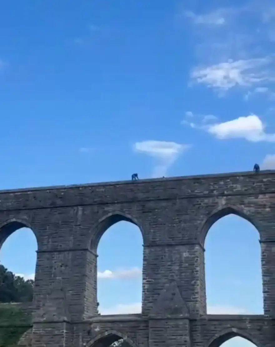 Sultangazi'de çocukların tehlikeli oyunu: Canlarını hiçe saydılar! 4