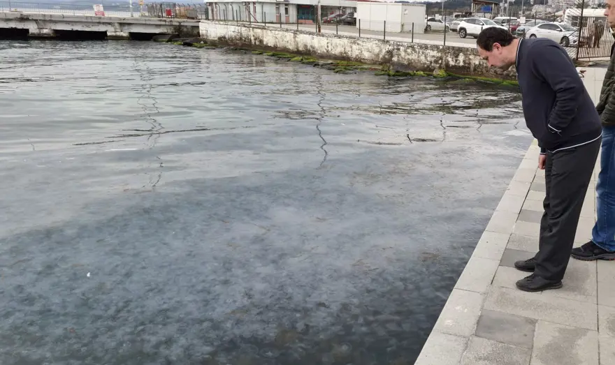 BAŞKA BÖLGELERDEN GELEN TÜRLER VE KİRLİLİK DE ETKENLER ARASINDA 2