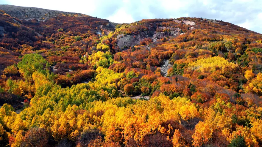 Geminbeli Geçidi'nde sonbahar renkleri: Masalsı bir görsellik sunuyor Geminbeli Geçidi'nde sonbahar renkleri: Masalsı bir görsellik sunuyor