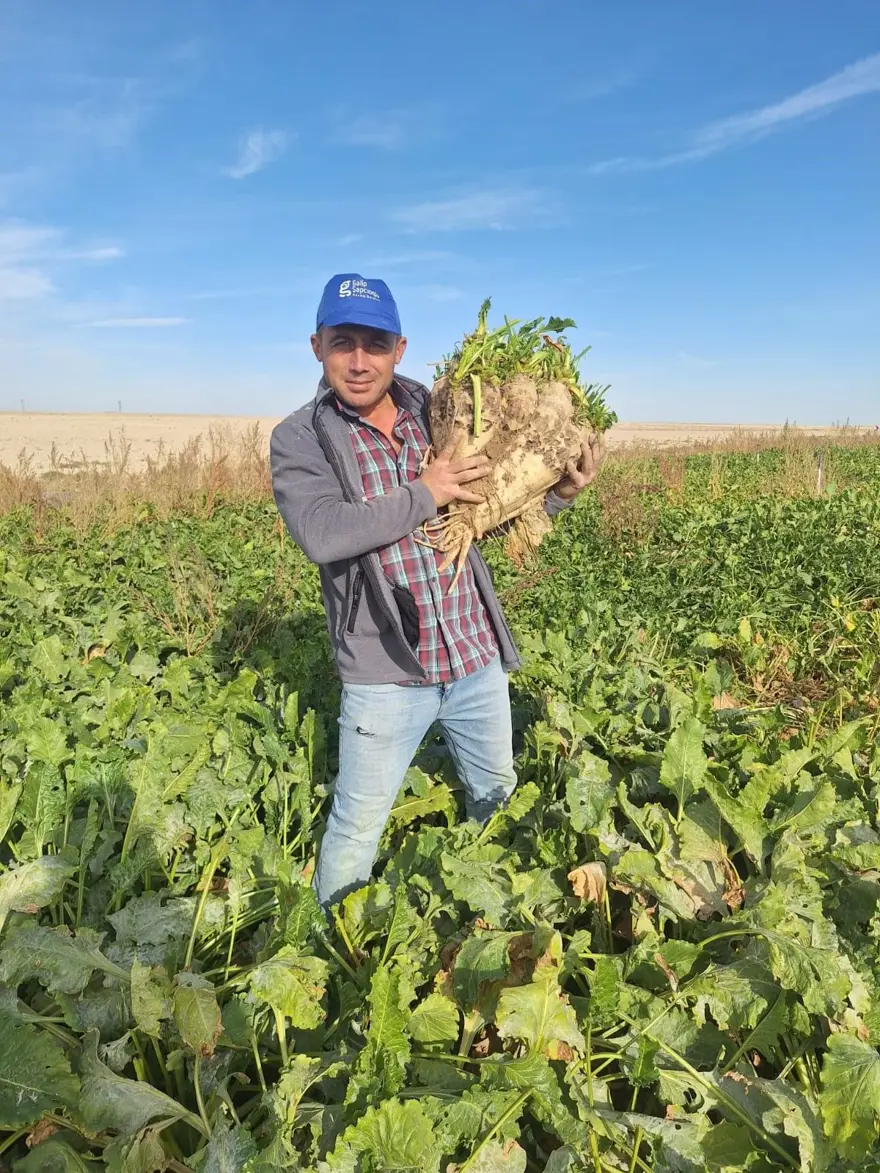 Tam 24 kiloluk, görenleri şaşırttı: Konya'da hasat edildi 