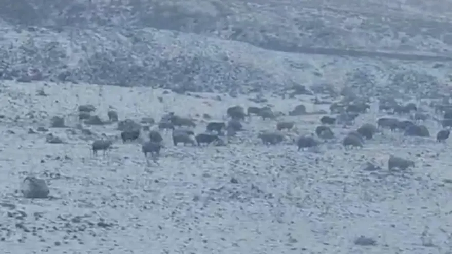 Yeni güne kar vetipiyle başladılar: Köyler beyaz örtüyle kaplandı 2