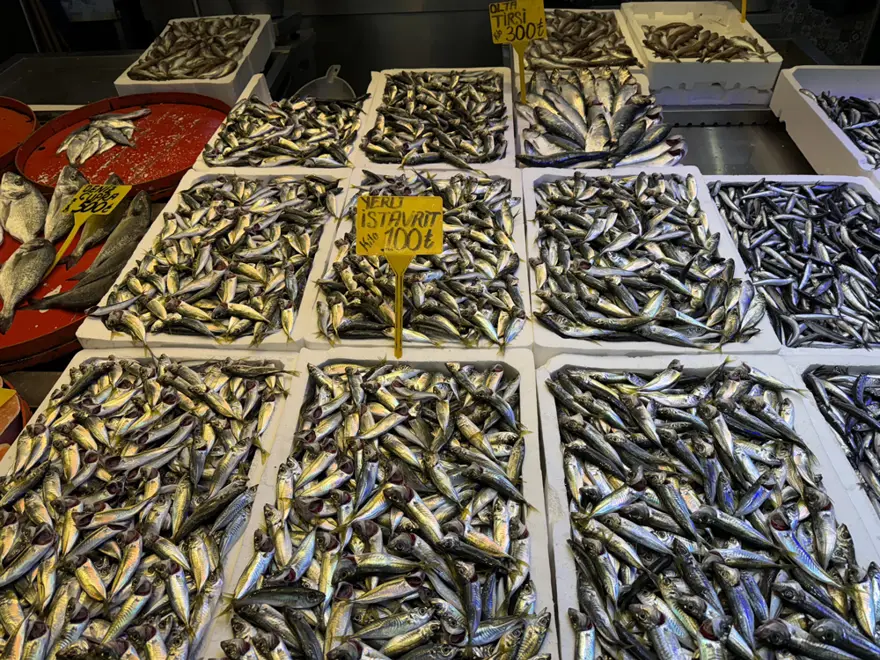 Tezgahta en çok bulunan balık. 100 liradan satışta Tezgahta en çok bulunan balık. 100 liradan satışta